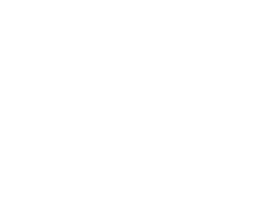 Handsome Dogz Clothing Co.