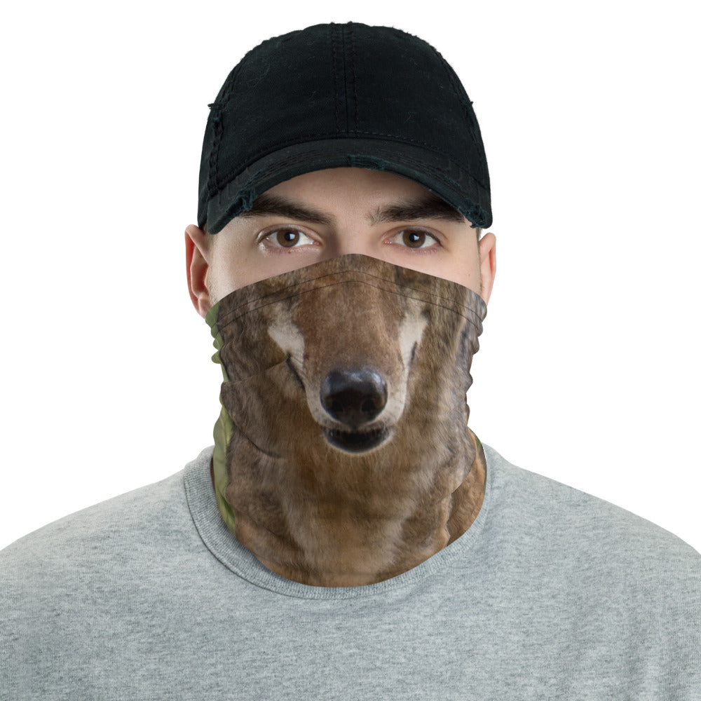 Neck Gaiter