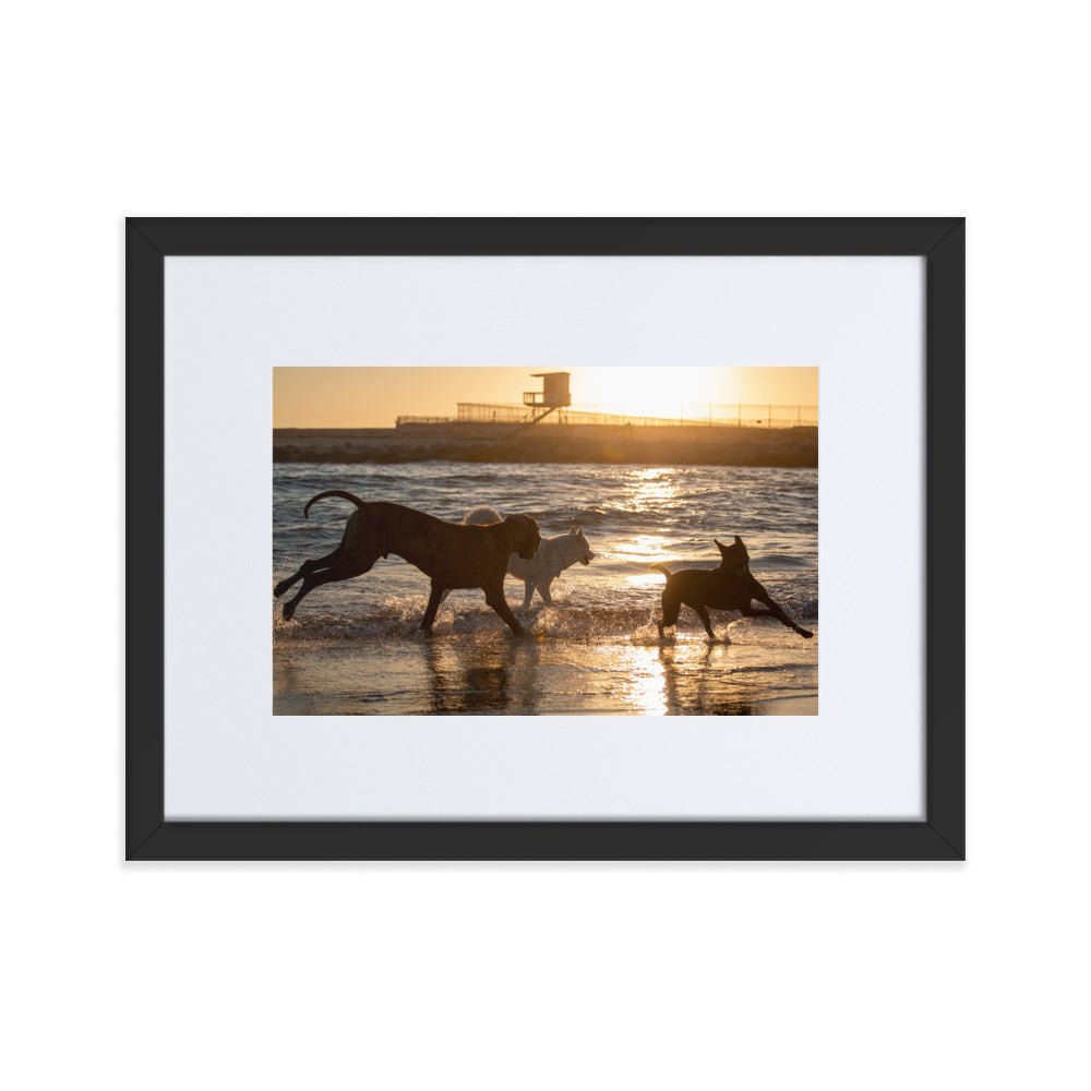 "Beach dogs at play" 12 x16 Matte Paper Framed Poster With Mat