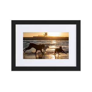 Dogz Dancing inthe Sunset Matte Paper Framed Poster With Mat