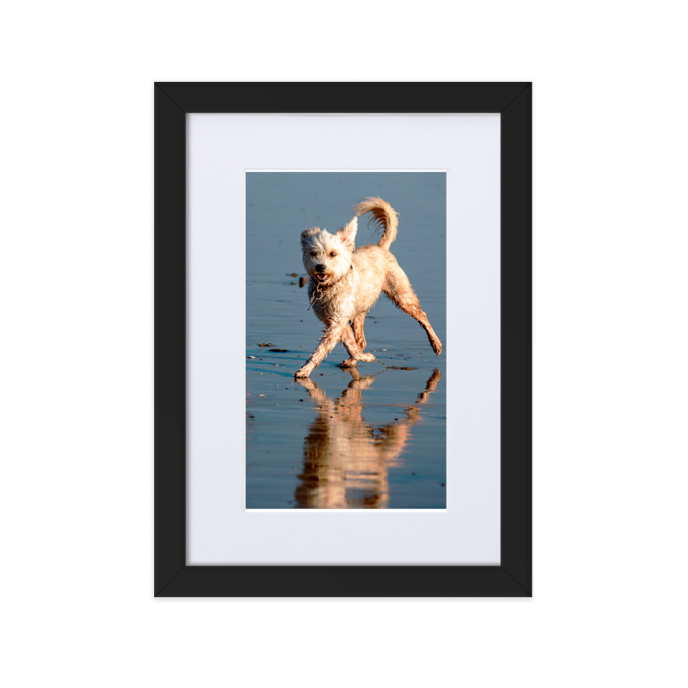 Little Dog Dancing Matte Paper Framed Poster With Mat