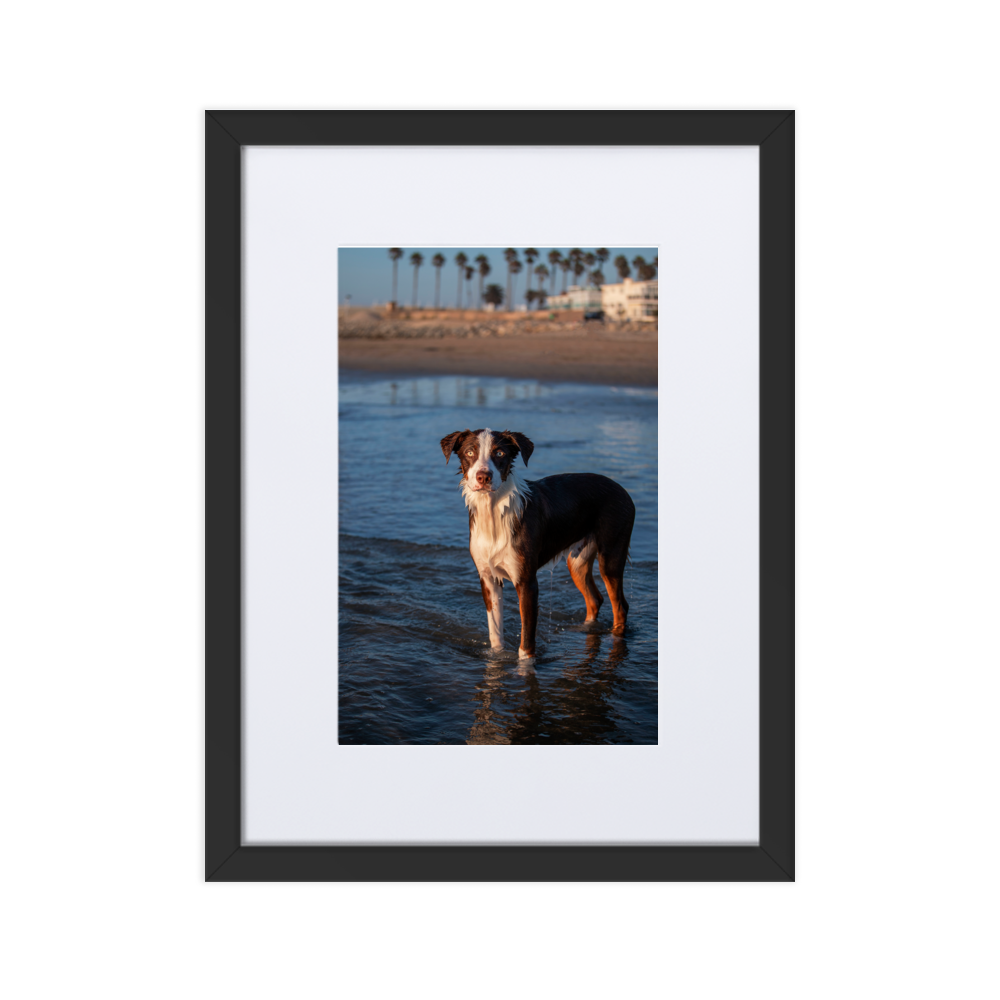 "Socal BeachDog" Matte Paper Framed Poster With Mat