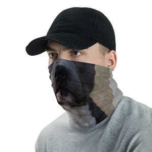 Neck Gaiter