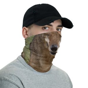 Neck Gaiter