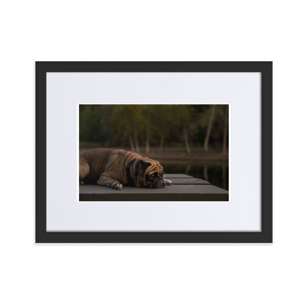 "Pug on the Lake"" 12 x 16 Matte Paper Framed Poster With Mat