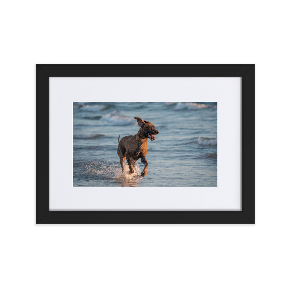 "Titan at Play" Matte Paper Framed Poster With Mat