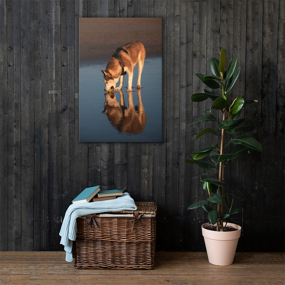 Husky Reflection 24 x 36 Canvas – Handsome Dogz Clothing Co.